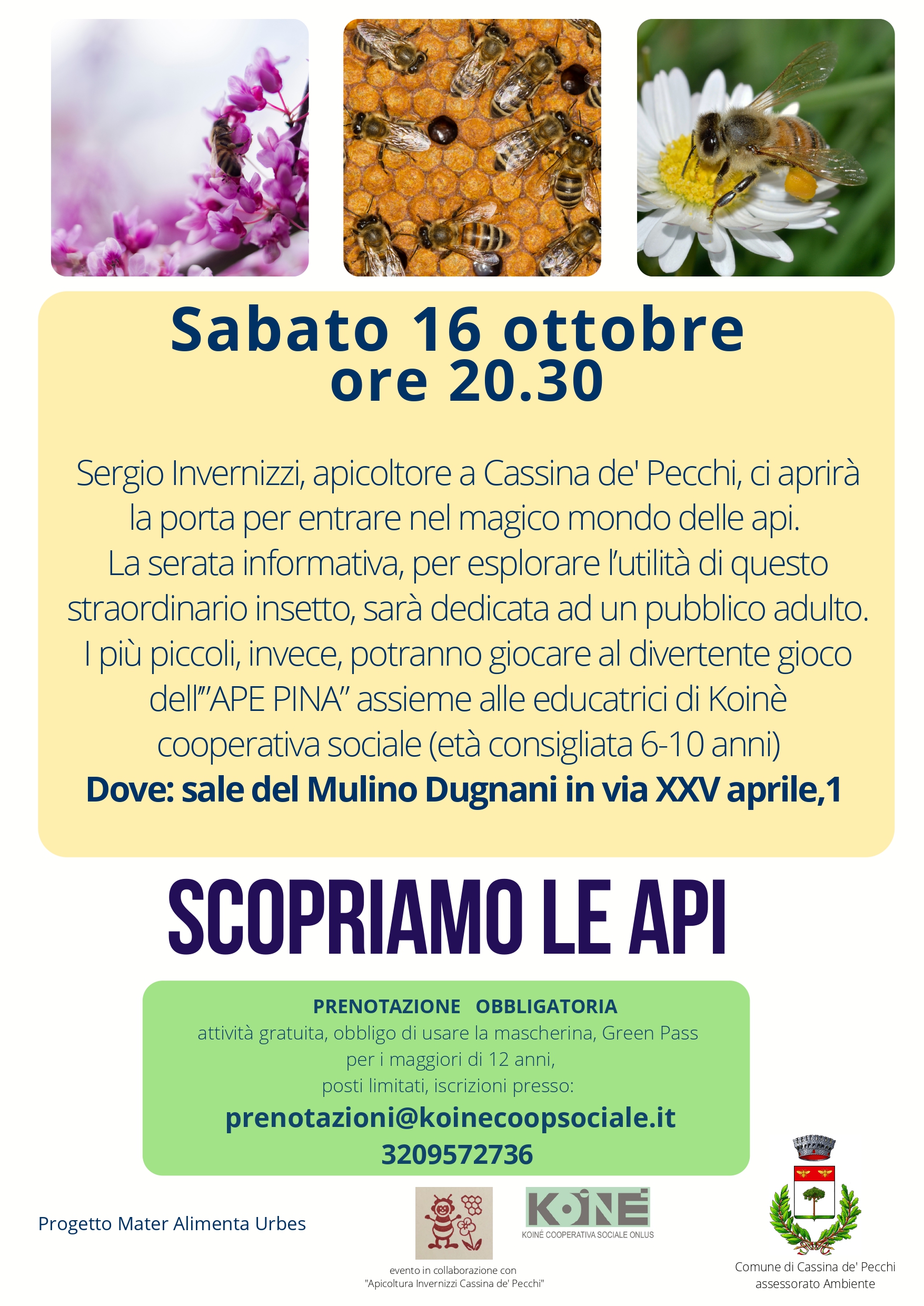 Scopriamo le api