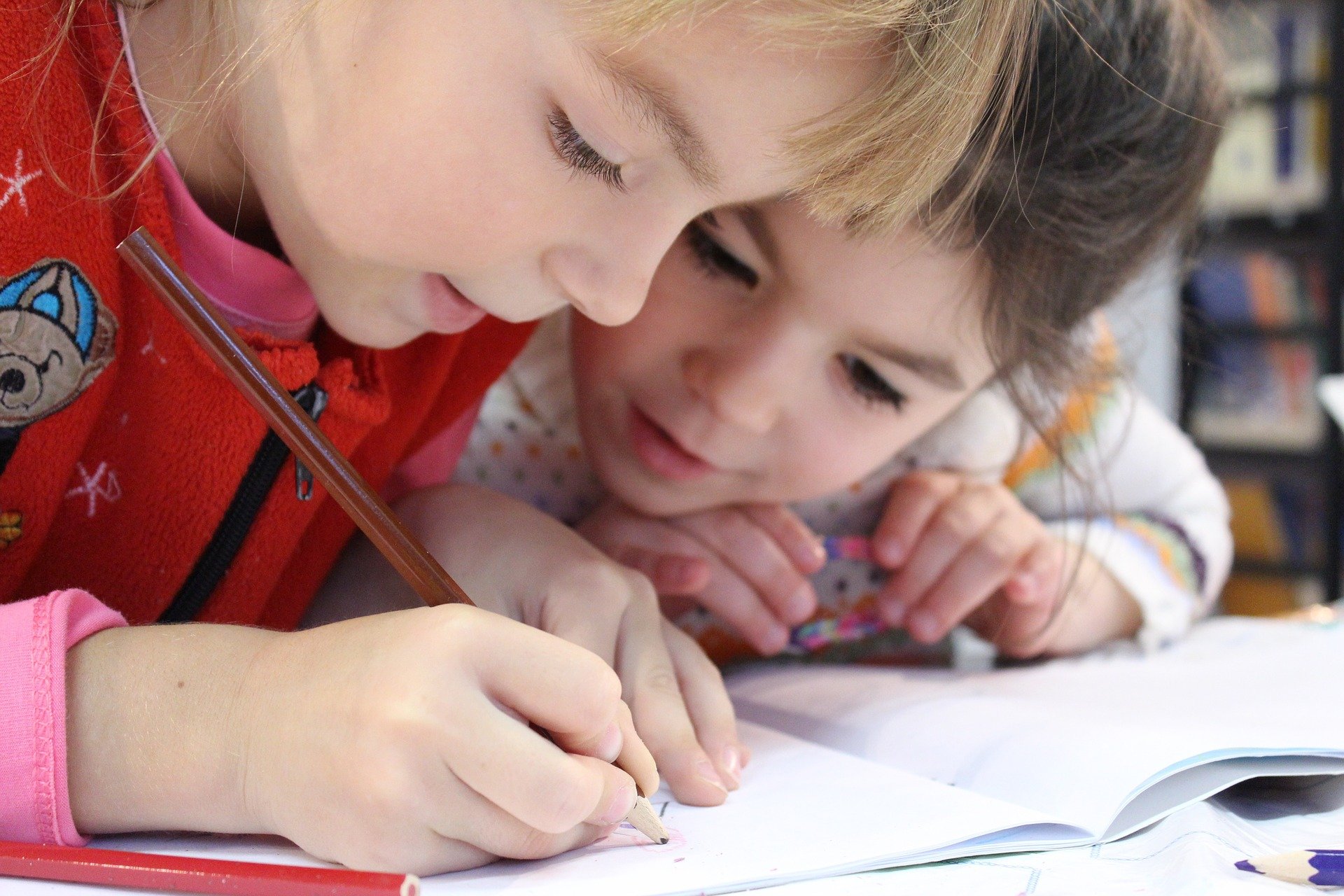 Indicazioni iscrizioni Scuola Primaria e scuole di ogni ordine e grado